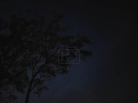 Nachtaufnahmen mit Bäumen und Mond für den Hintergrund der Social-Media-Vorlage