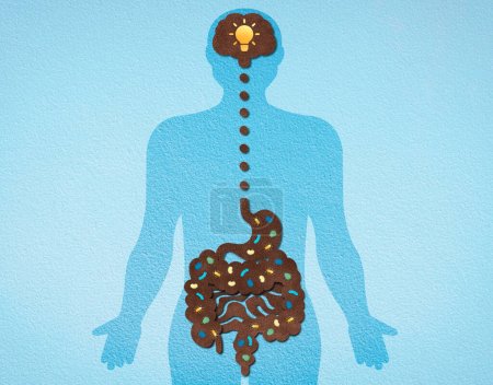 Photo pour L'axe intestin-cerveau - L'intégration entre le système nerveux central et le tractus gastro-intestinal - Illustration conceptuelle - image libre de droit