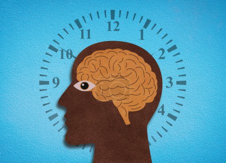 Téléchargez les photos : Horloge biologique et rythme circadien - Réveil interne - Illustration conceptuelle - en image libre de droit