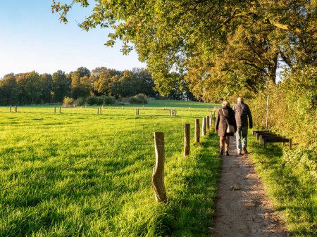 Téléchargez les photos : OOTMARSUM, PAYS-BAS - 24 OCT 2021 : Couple plus âgé marchant sur un sentier à travers la nature près de la ville d'Ootmarsum, Overijssel - en image libre de droit