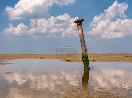Poteau de fer rouillé dans la flaque d'eau sur vase à marée basse près de la réserve naturelle Kwade Hoek, Slijkgat inlet, Zuid-Holland, Pays-Bas