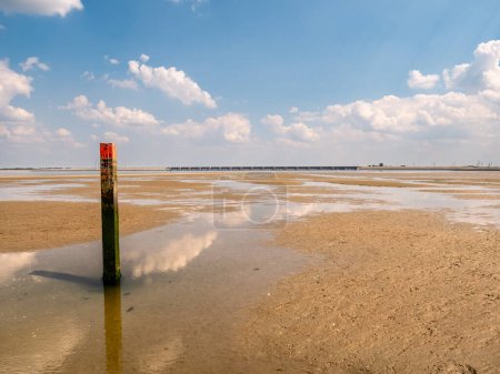 Poste de playa de madera con tapa roja en charco en la marea baja de Slijkgat cerca de Haringvlietdam, Holanda Meridional, Países Bajos