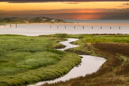 Photo for Salt marshes of tidal inlet of The Zwin nature reserve at North Sea coast at sunset, at border between Belgium and the Netherlands - Royalty Free Image