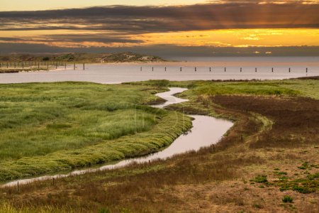Photo for Salt marshes of tidal inlet of The Zwin nature reserve at North Sea coast at sunset, at border between Belgium and the Netherlands - Royalty Free Image