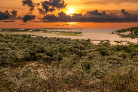 Photo for Dunes and beach of tidal inlet of The Zwin nature reserve at North Sea coast at sunset, at border between Belgium and the Netherlands - Royalty Free Image