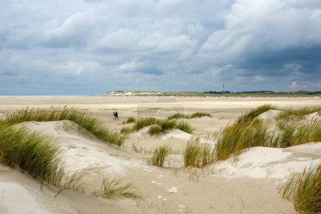Photo for Amrum, Germany - Aug 27, 2023: Sand dunes of Kniepsand beach near Wittdun on Amrum island, North Frisia, Schleswig-Holstein - Royalty Free Image