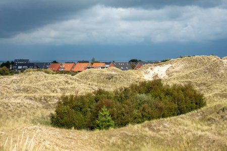 Dünengebiet und Wittdun auf Amrum, Nordfriesland, Schleswig-Holstein, Deutschland