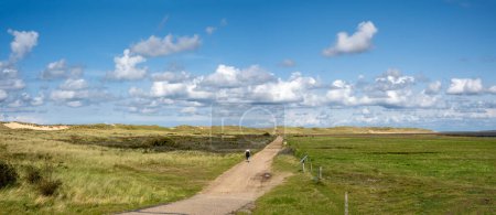 Photo for Panorama of nature reserve Amrumer Odde in north of Amrum island, North Frisia, Schleswig-Holstein, Germany - Royalty Free Image