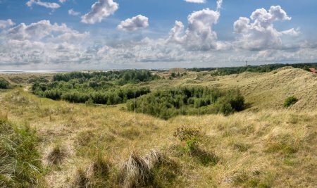 Photo for Panorama of Wittdun dune area on Amrum island, North Frisia, Schleswig-Holstein, Germany - Royalty Free Image