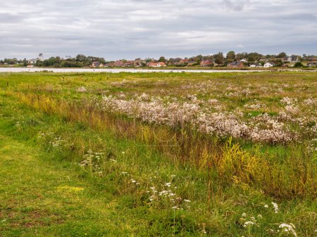 View of Gronne Odde headland and Nederby town on Fur island in Limfjord, Midtjylland, Denmark