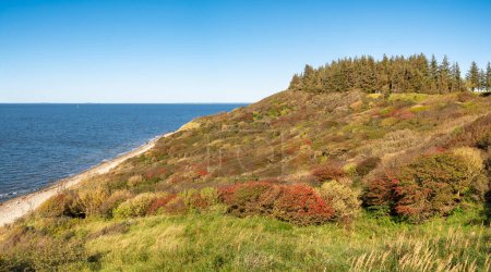 Herbst Blick auf die Klippen der Westküste, Küste und überdachte Hügel auf der Insel Livo, Limfjord, Nordjylland, Dänemark
