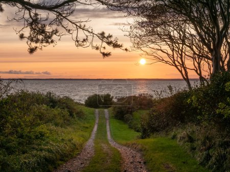 Route de campagne au coucher du soleil surplombant le Kattegat sur l'île de Tuno, Midtjylland, Danemark