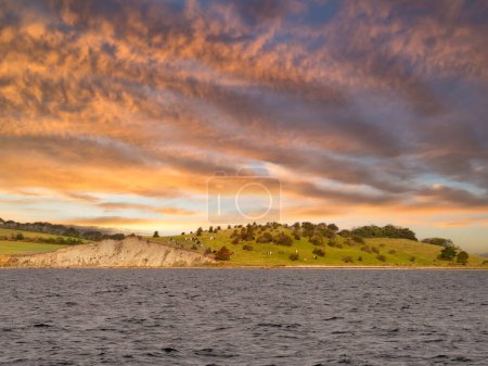 Küstenpanorama mit grasenden Kühen auf sanften Hügeln der Halbinsel Knolden bei Dyreborg bei Sonnenuntergang, Fünen, Süddänemark