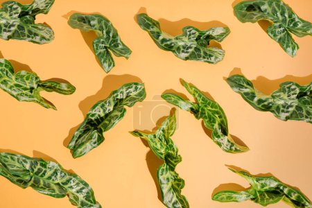 Foto de Green decorative leaves on a yellow background. Vegetable pattern concept. - Imagen libre de derechos