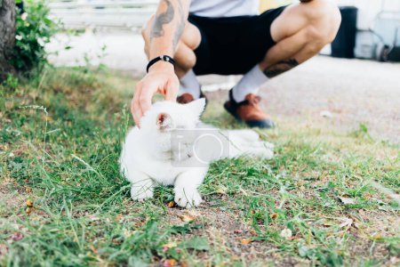 Foto de Hombre palmadita y arañazos detrás de la oreja un adorable y lindo gato blanco sin hogar en la calle. Cuidado y amor hacia las mascotas y los animales - Imagen libre de derechos
