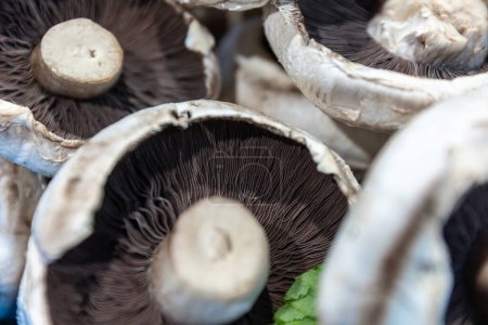 Close up of fresh, white mushrooms with brown gills at a local famers market.