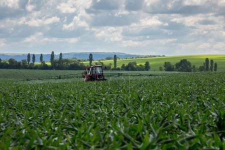 Foto de Un tractor de granja con pulverizador arrastrado procesa un campo sembrado con maíz con productos fitosanitarios. Ucrania Occidental, región de Ternopil. - Imagen libre de derechos