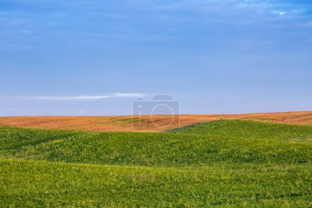 Téléchargez les photos : Des champs agricoles sans fin sur les pentes des collines sont ensemencés avec diverses cultures. Paysage rural paisible. Soirée d'été dans l'ouest de l'Ukraine près de Rivne. - en image libre de droit