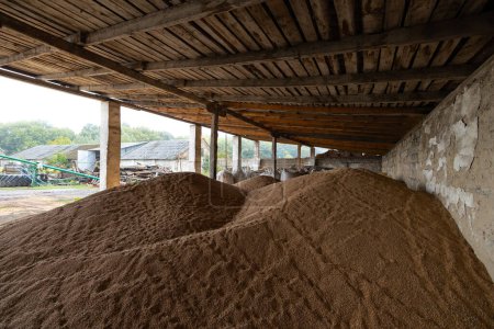 Téléchargez les photos : Piles et sacs de grains de blé séchant à l'entrepôt du moulin ou au silo à grains. Le principal groupe de produits de base sur les marchés alimentaires - en image libre de droit