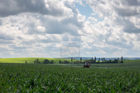 Foto de Un tractor de granja con pulverizador arrastrado procesa un campo sembrado con maíz con productos fitosanitarios. Ucrania Occidental, región de Ternopil. - Imagen libre de derechos