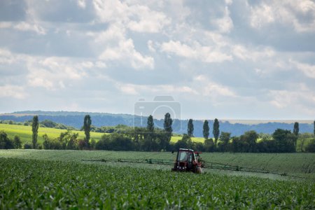 Téléchargez les photos : Un tracteur agricole équipé d'un pulvérisateur traîné transforme un champ semé de maïs en produits phytopharmaceutiques. Ukraine occidentale, région de Ternopil. - en image libre de droit