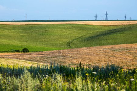 Foto de Campos agrícolas interminables en las laderas de las colinas se siembran con diversos cultivos. Paisaje rural pacífico. Tarde de verano en el oeste de Ucrania cerca de la ciudad de Rivne. - Imagen libre de derechos