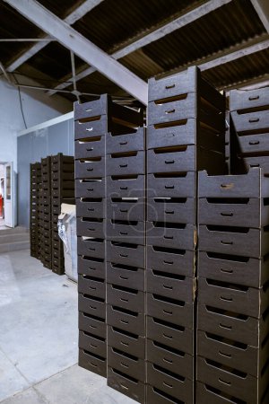 Téléchargez les photos : Boîtes en carton noir assemblées dans un entrepôt. Des plateaux de fruits. Emballage de produits finis dans la production industrielle. - en image libre de droit