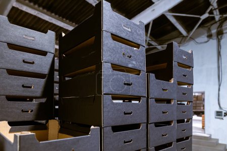 Foto de Cajas de cartón negro ensambladas en almacén. Bandejas de frutas. Embalaje de productos acabados en producción industrial. - Imagen libre de derechos
