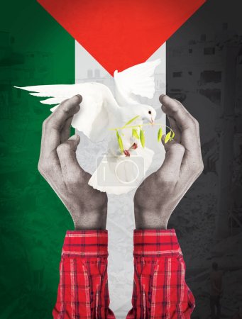 Weiße Taube, die einen Olivenzweig ausstreckt. Hände umarmen den Frieden. Eine Welt ohne Krieg. Verfolgung. Hintergrund der palästinensischen Flagge. Der Krieg im Gazastreifen. Gegensätzliche Ansichten zu Staat und Terrorismus.