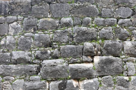 Close-up of a stone wall with moss