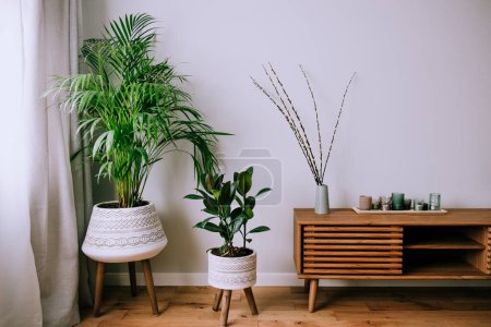 Photo for Scandinavian home interior with decorative accessories standing on a wooden cabinet. Minimalist design in interior of room with green plants and white wall with copy space. Biophilia style. - Royalty Free Image