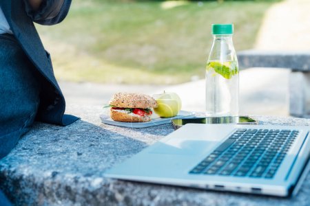 Téléchargez les photos : Boîte à lunch équilibrée avec sandwich complet, pomme et eau debout sur le banc avec ordinateur portable et femme d'affaires assise. Habitudes alimentaires saines et bien-être. Concentration sélective. - en image libre de droit