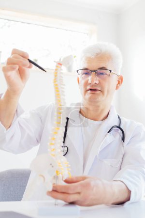 Middle aged male doctor pointing on human spine model with a pen sitting in medical clinic office. Spinal healthcare and back pain treatment concept. Vertical card. Selective focus, copy space.