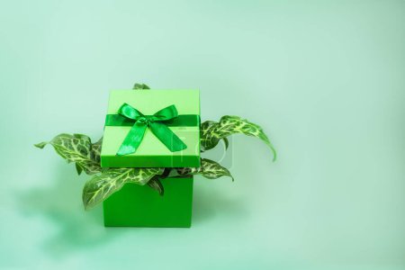 Photo for A green cardboard gift box and leaves of a exotic plant sticking out of it on a bright green background. Green not black Friday concept. Purchase ecologically. Selective focus, Copy space. - Royalty Free Image