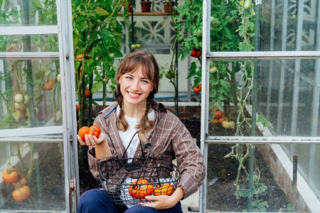 Téléchargez les photos : Jeune femme souriante tenant la récolte de tomates de bœuf rouge mûres, juste cueillies en serre. Mode de vie agricole urbain. Cottagecore. Cultiver des légumes biologiques dans le jardin. Concept d'autosuffisance alimentaire - en image libre de droit