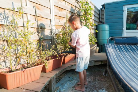 Niño pequeño regando verduras en el jardín de macetas en el patio trasero en el soleado día de verano. Boy ayuda a mamá a cuidar el huerto, mujer enseña a su hijo a cuidar de las plantas. Infancia activa.