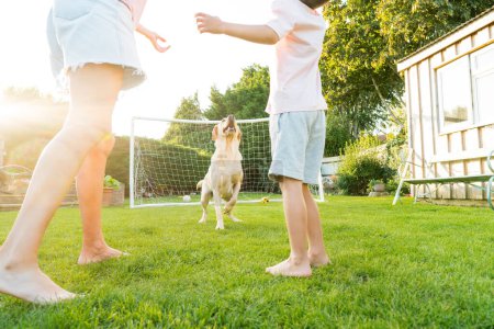 Téléchargez les photos : Mère et fils joyeux jouant avec le chien, lançant une balle et s'amuser ensemble. Joyeux jeu de famille avec balle de tennis avec animal de compagnie. Jeux amusants dans la pelouse arrière-cour le jour ensoleillé d'été. Enfance active - en image libre de droit