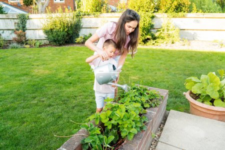 Mutter und Sohn gießen an einem sonnigen Sommertag Gemüse im Kübelgarten im Hinterhof. Junge hilft Mama bei der Pflege des Gemüsegartens, Frau bringt Sohn bei, sich um Pflanzen zu kümmern. Zeit miteinander. Aktive Kindheit.