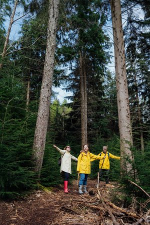 Group of hikers cheering joyful in forest. Cheerful excited friends with arms raised up outstretched in joy smiling, celebrating freedom and unity with nature. Tourism, hiking, and friendship concept