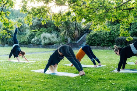Female yoga class in park. Women stretching in Downward Facing Dog, down dog pose exercising together with instructor on green grass lawn. Sport activity for health, wellbeing, mental health