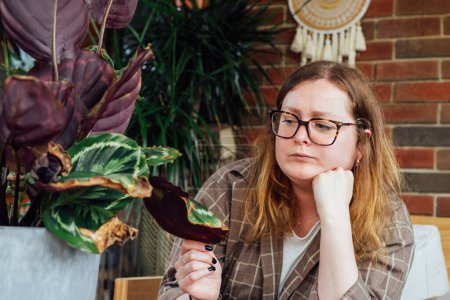 Frustrated upset woman examining dried foliage of Calathea plant. Houseplants diseases. Disorders Identification, Treatment, Houseplants sunburn, overwatering. Damaged Leaves. Home Gardening troubles.