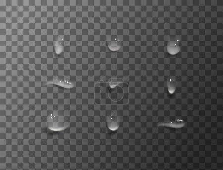 Ilustración de Conjunto vectorial de gotas de agua realistas - Imagen libre de derechos