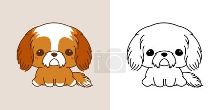 Illustration for Set Clipart Shih Tzu Puppy Coloring Page and Colored Illustration. Kawaii Isolated Dog. Cute Vector Illustration of a Kawaii Animal for Stickers, Prints for Clothes, Baby Shower. - Royalty Free Image