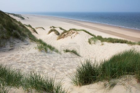 Dünen und Nordseeküste in Burgh Haamstede in den Niederlanden