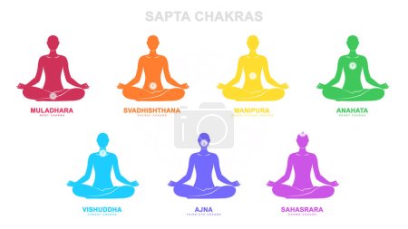 Photo for Sapta chakra with meditation human pose Illustration, Les Sept Chakras, spiritual practices and meditation - Royalty Free Image