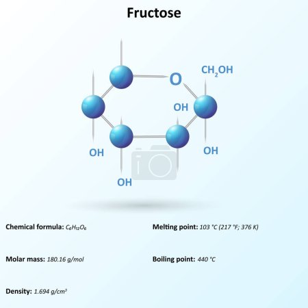 Photo for Fructose (CHO) is a type of sugar known as a monosaccharide, Fructose or fruit sugar vector Illustration - Royalty Free Image