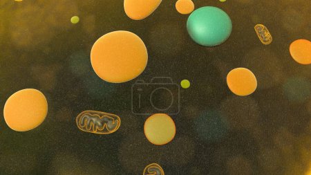 Photo for Amoeba unicellular organism 3d illustration. eukaryotic organisms - Royalty Free Image