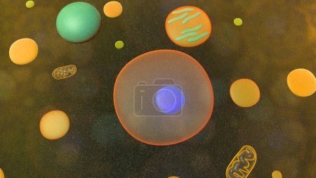 Foto de Ameba unicelular organismo 3d ilustración. organismos eucariotas - Imagen libre de derechos