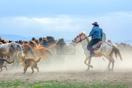 Photo for 12/03/2023  Turkey / Kayseri : Wild horses (aka Ylk Atlar) are running to freedom. Taken near Hrmetci Village, between Cappadocia and Kayseri, Turkey. - Royalty Free Image