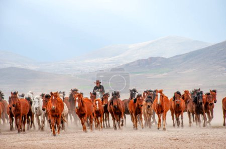 Foto de Los caballos salvajes (también conocidos como Ylk Atlar) corren hacia la libertad. Tomado cerca de Hrmetci Village, entre Capadocia y Kayseri, Turquía. - Imagen libre de derechos
